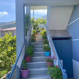 https://house-zotkaj-berat.albaniahotels.org
